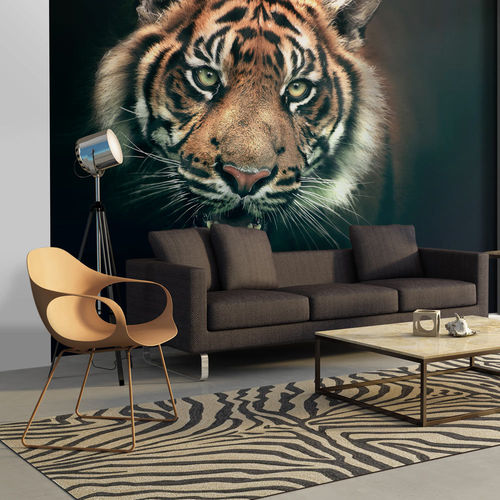 Fotótapéta - Bengal Tiger