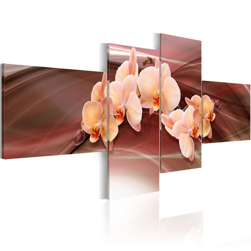 Kép - An orchid on a subdued background
