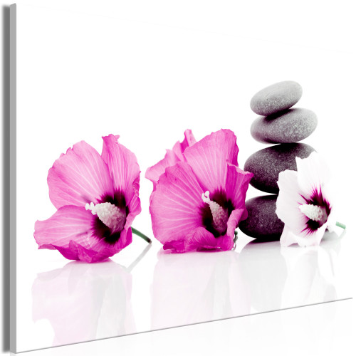 Kép - Calm Mallow (1 Part) Wide Pink