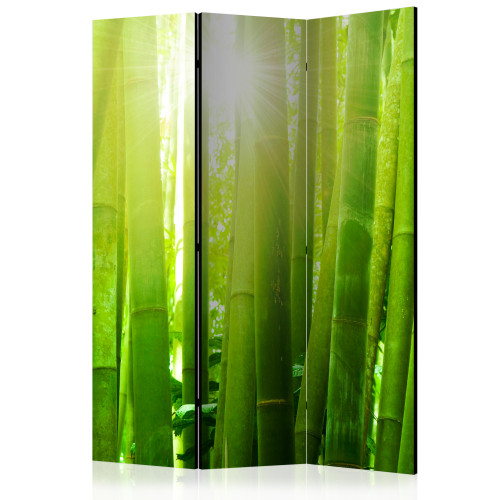 Paraván - Sun and bamboo [Room Dividers]