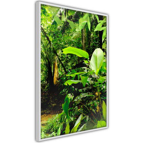Plakát - In the Rainforest