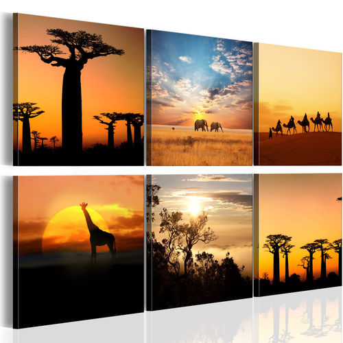 Kép - African sceneries