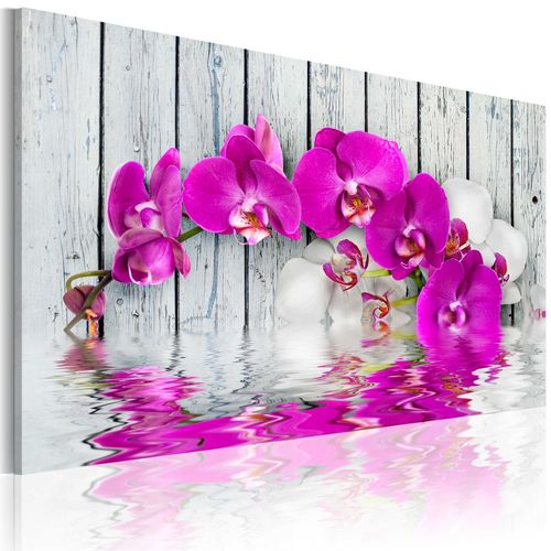 Kép - harmony: orchid