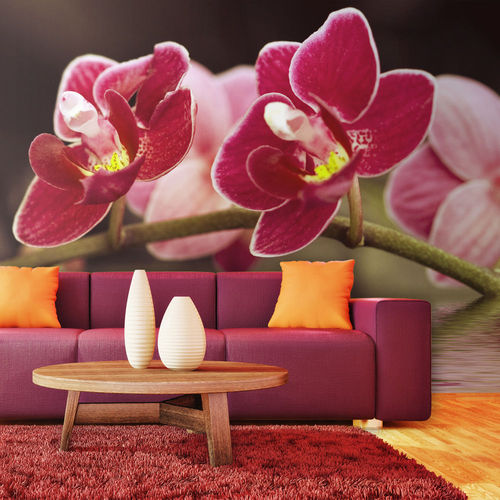 Fotótapéta - Gyönyörű orchidea virágok a víz
