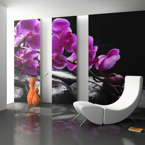 Fotótapéta - Relaxáló pillanat: orchidea virág és kövek