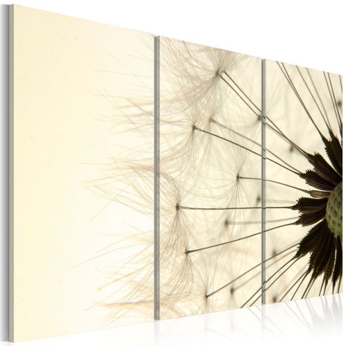 Kép - The lightness and the transience of a dandelion