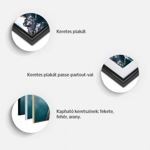 Plakát - Life Values