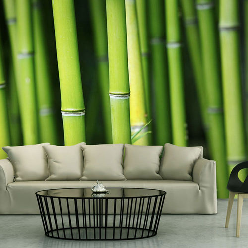 Fotótapéta - Bamboo