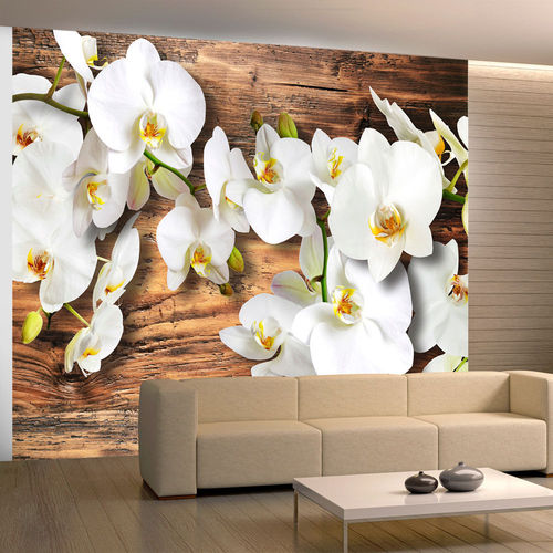 Fotótapéta - Snow-white orchids