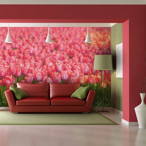 Fotótapéta - Tavaszi rét - friss rózsaszín tulipánok