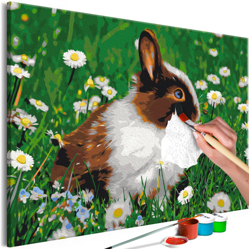 Kifestő - Rabbit in the Meadow