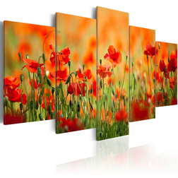 Kép - Poppies in vivid colors