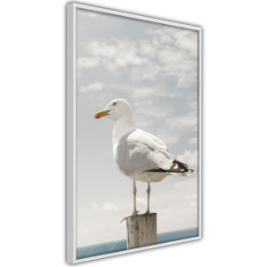 Plakát - Curious Seagull