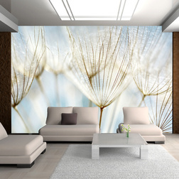 Fotótapéta - Abstract dandelion flower background