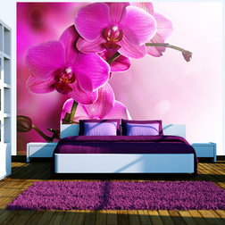 Fotótapéta - Rózsaszín orchidea