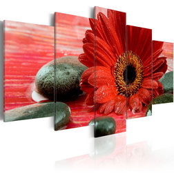Kép - Gerbera flower and Zen stones