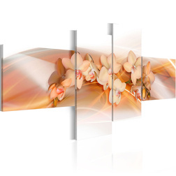 Kép - Cream colored orchids