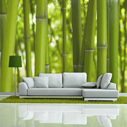 Fotótapéta - bamboo - green