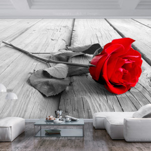 Öntapadó fotótapéta - Abandoned Rose