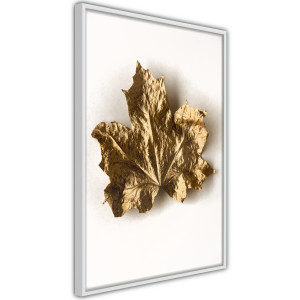 Plakát - Dried Maple Leaf