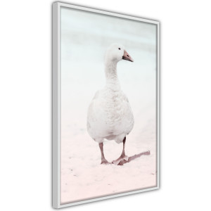 Plakát - Walking Goose