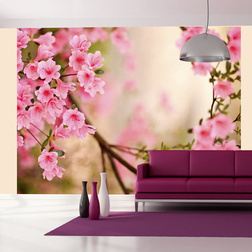 Fotótapéta - Pink azalea