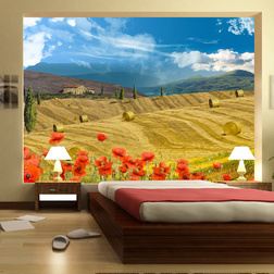Fotótapéta - Autumn landscape