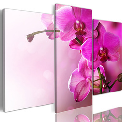 Kép - Dark pink orchid