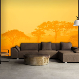 Fotótapéta - Orange savanna
