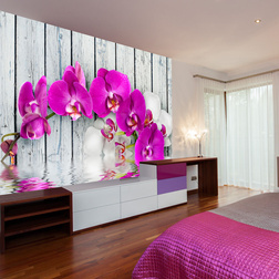 Fotótapéta - Violet orchids with water reflexion