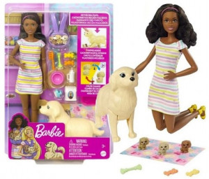 Set papusa, Barbie, cu Catei si Accesorii, 3 ani+