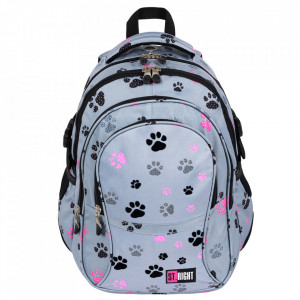 Ghiozdan Scolar 4 Compartimente, St.Majewski, Ergonomic, Impermeabil, Colectia St.Right - Paws BP01, 43x32x21cm - Img 1