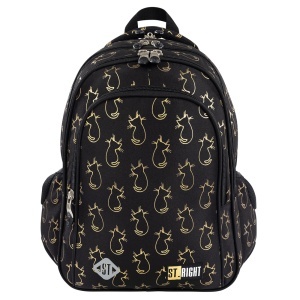 Ghiozdan Scolar cu 4 Compartimente, Impermeabil, Colectia St.Right - Golden Cats BP58, 40x28x18cm - Img 1
