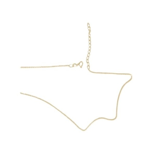 lanț argint 925 placat cu aur 40 + 5 cm