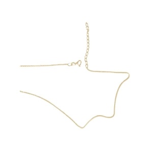 cadena de plata 925 chapada en oro 40 + 5 cm