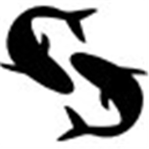 Pisces zodiac coin, 925 sterling silver, 10 mm - Img 2