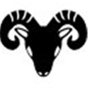 Sterling silver 925 10 mm engraved with the sign of the ram. silver 925 - Img 4