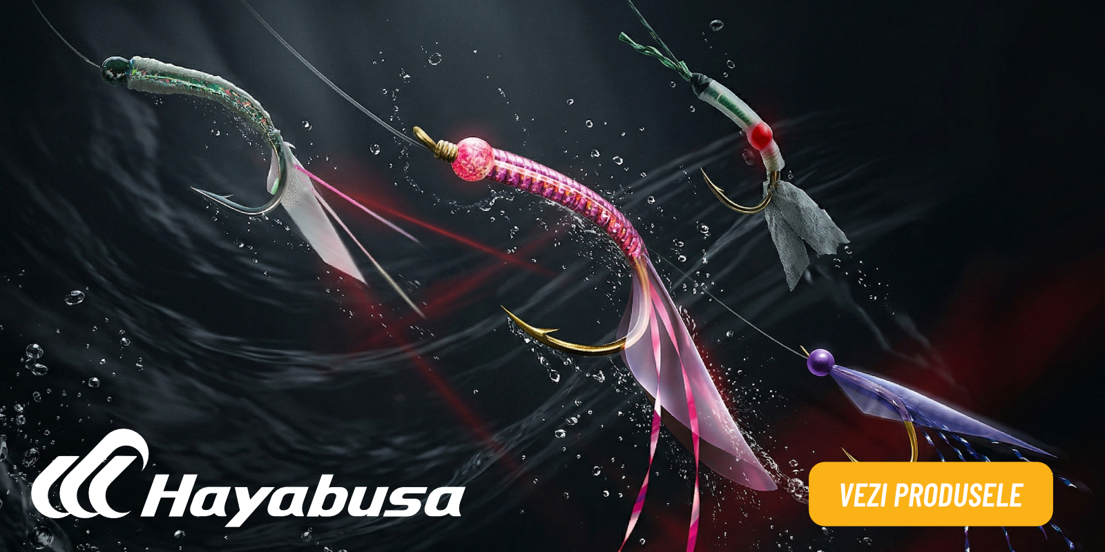 HAYABUSA