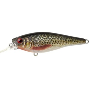 Vobler shad SPRO Ikiru Shad, Roach, 7 cm (10 gr.)
