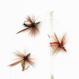 Set muste legate Mostiro, 0.16 mm, 150 cm (3 buc.)