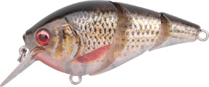 Vobler SPRO Ikiru Natural Tri Crank, Roach, 6.5 cm (12 gr.)