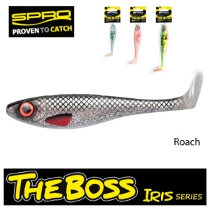 Shad SPRO Iris The Boss, Roach, 12 cm (16 gr.)