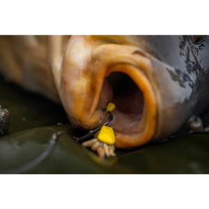 Pole Position Tungsta Corn Shot S (0.24 Gr) - Img 4
