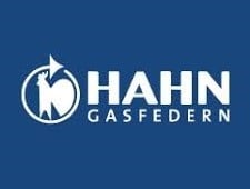 Hahn Gasfedern
