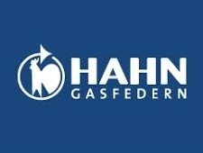 Piston gaz ușa beci, forta 1000N, lungime 700 mm