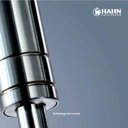 Piston gaz ușa beci, forta 1000N, lungime 700 mm
