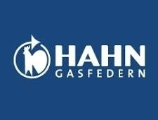 Piston gaz ușa beci, forta 1000N, lungime 700 mm