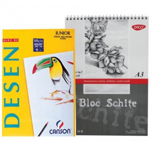 Blocuri de desen