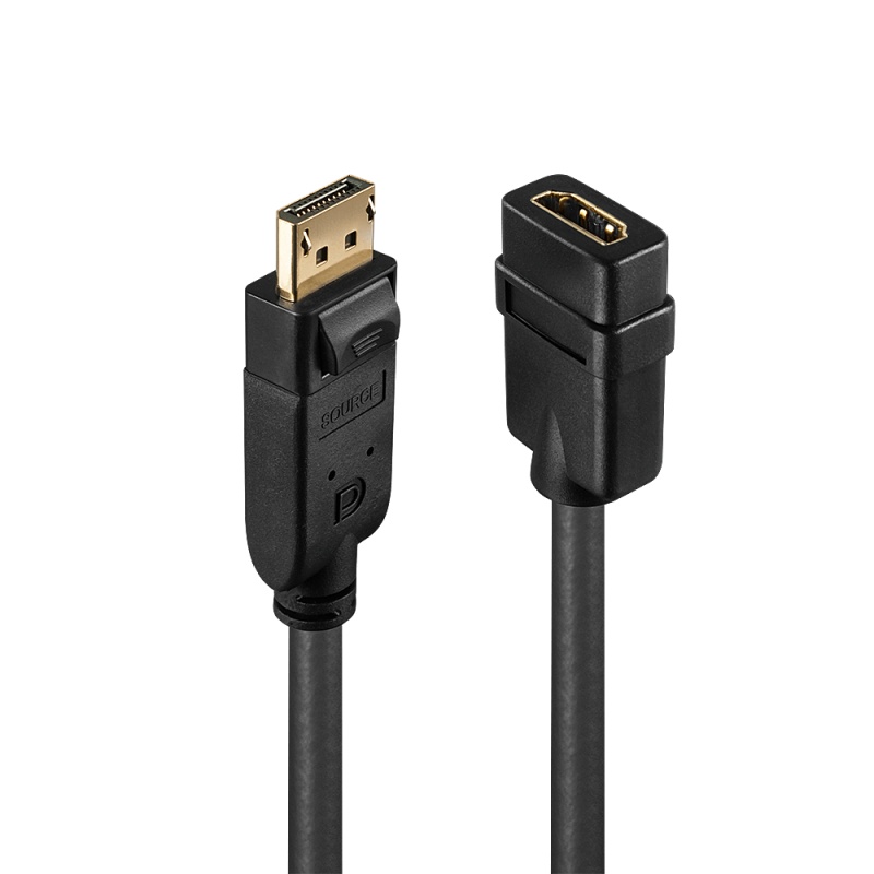 Adaptor Lindy DisplayPort to HDMI Passiv - 2 | YEO