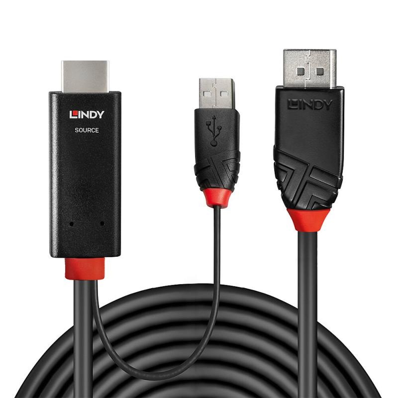 Cablu Lindy 1m HDMI la DisplayPort - 4 | YEO